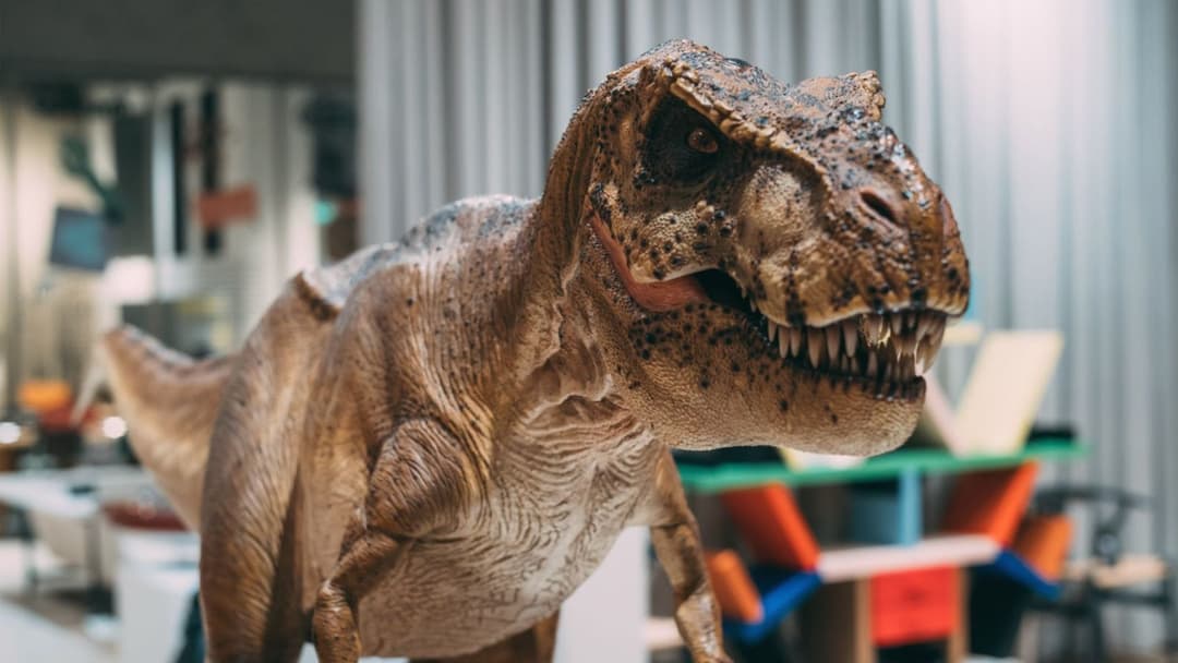 The Era of Dinosaurs and the Evolution of the Internet in Brazil and Worldwide